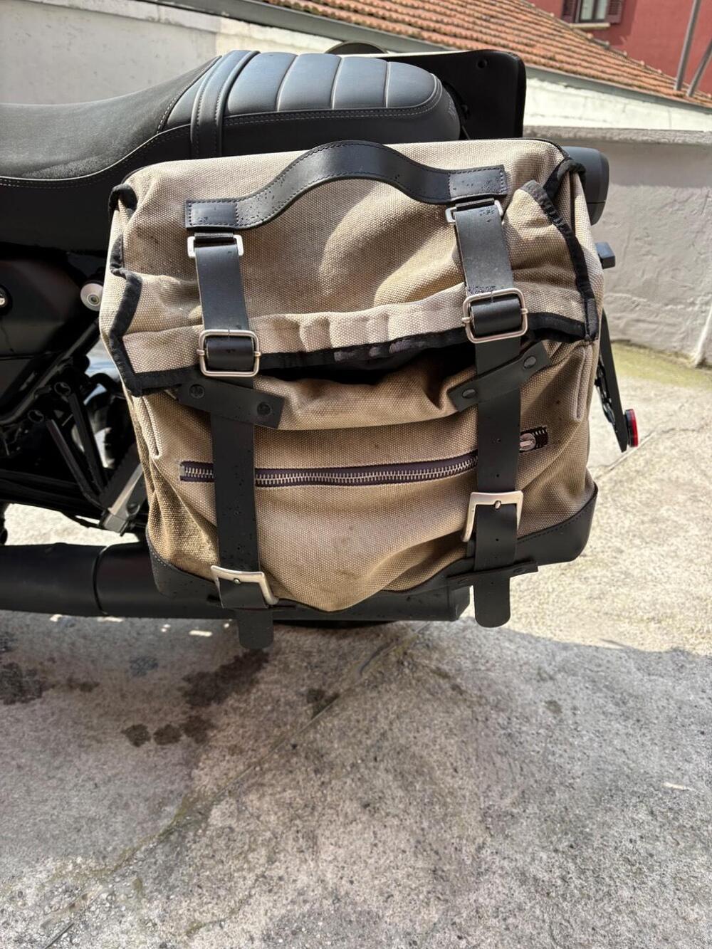 Moto Guzzi V7 Stone (2021 - 24) (7)