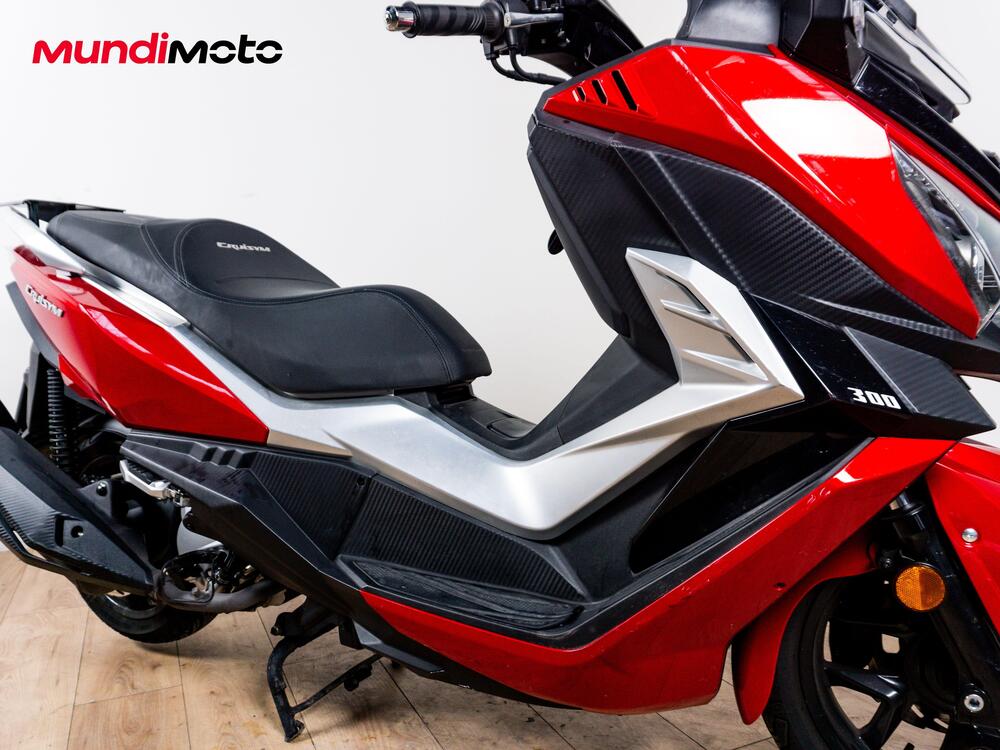 Sym Cruisym 300 (2017 - 20) (4)