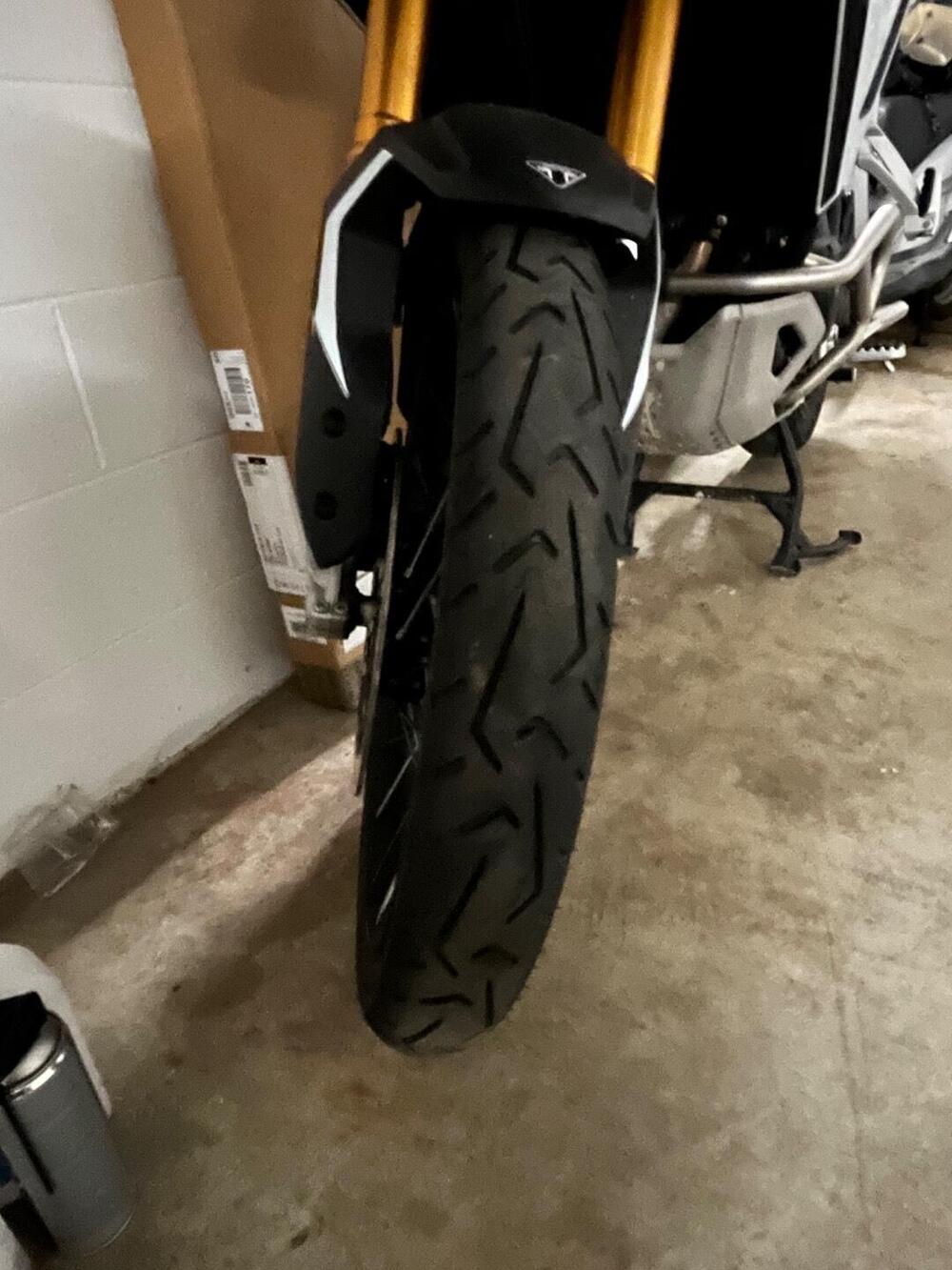 Triumph Tiger 900 Rally Pro (2024 - 26) (3)