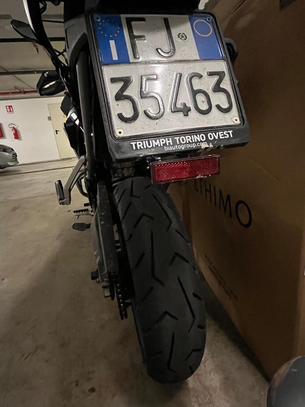 Triumph Tiger 900 Rally Pro (2024 - 26) (4)