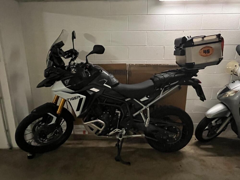Triumph Tiger 900 Rally Pro (2024 - 26) (2)