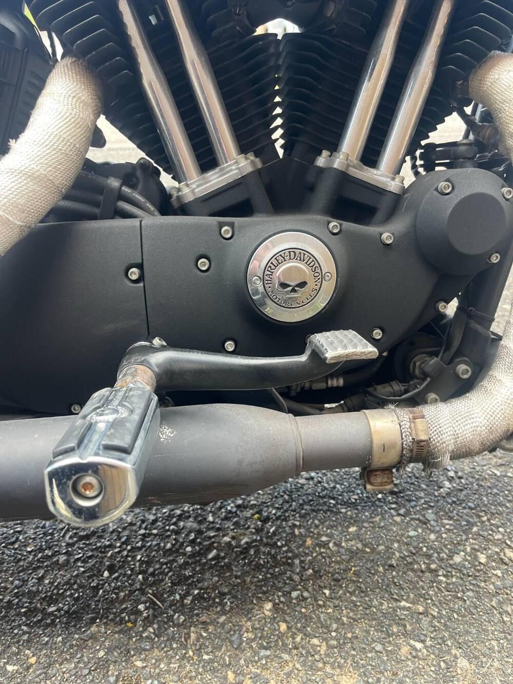 Harley-Davidson 883 Iron (2009 - 11) - XL 883N (9)