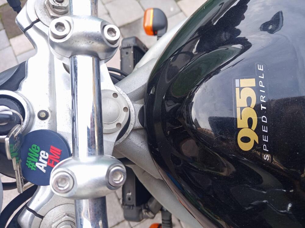 Triumph Speed Triple 955 (1998 - 01) (6)