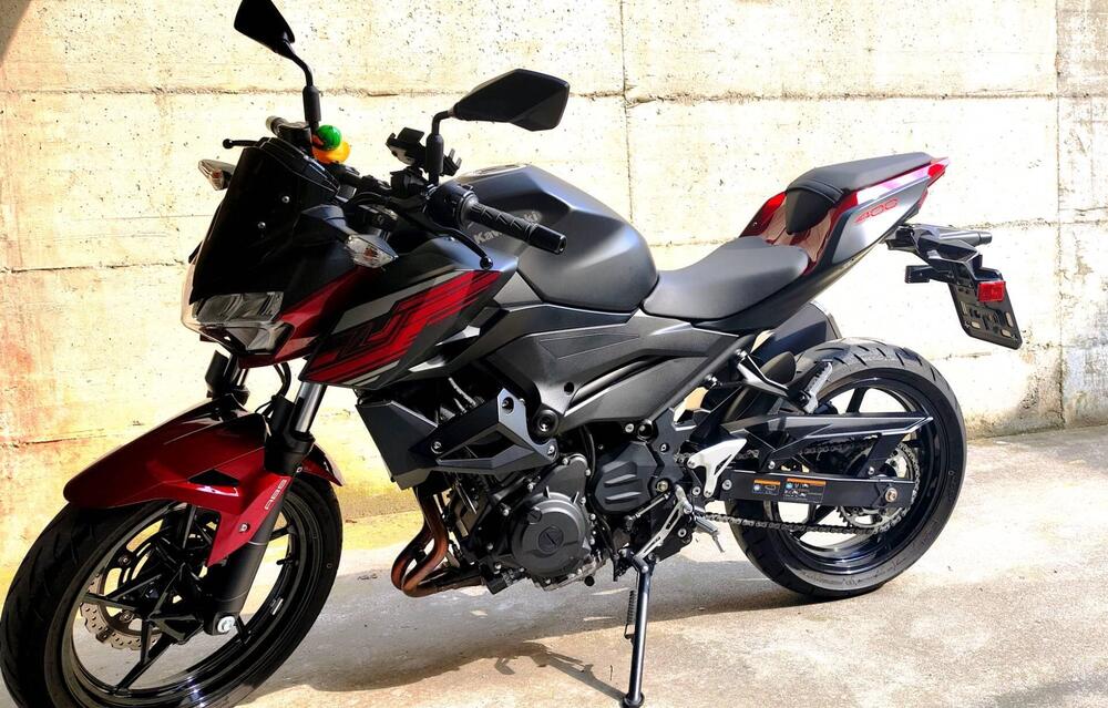 Kawasaki Z 400 (2019 - 20) (2)