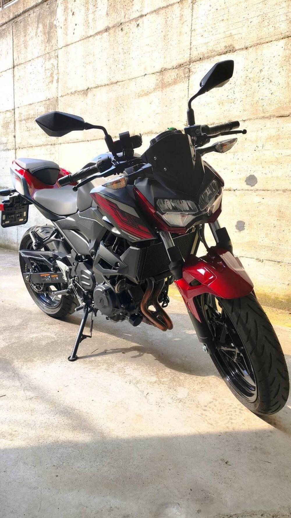 Kawasaki Z 400 (2019 - 20) (5)