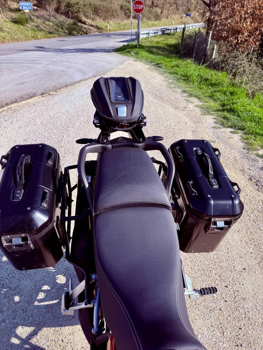 Triumph Tiger 900 GT (2020 - 23) (11)