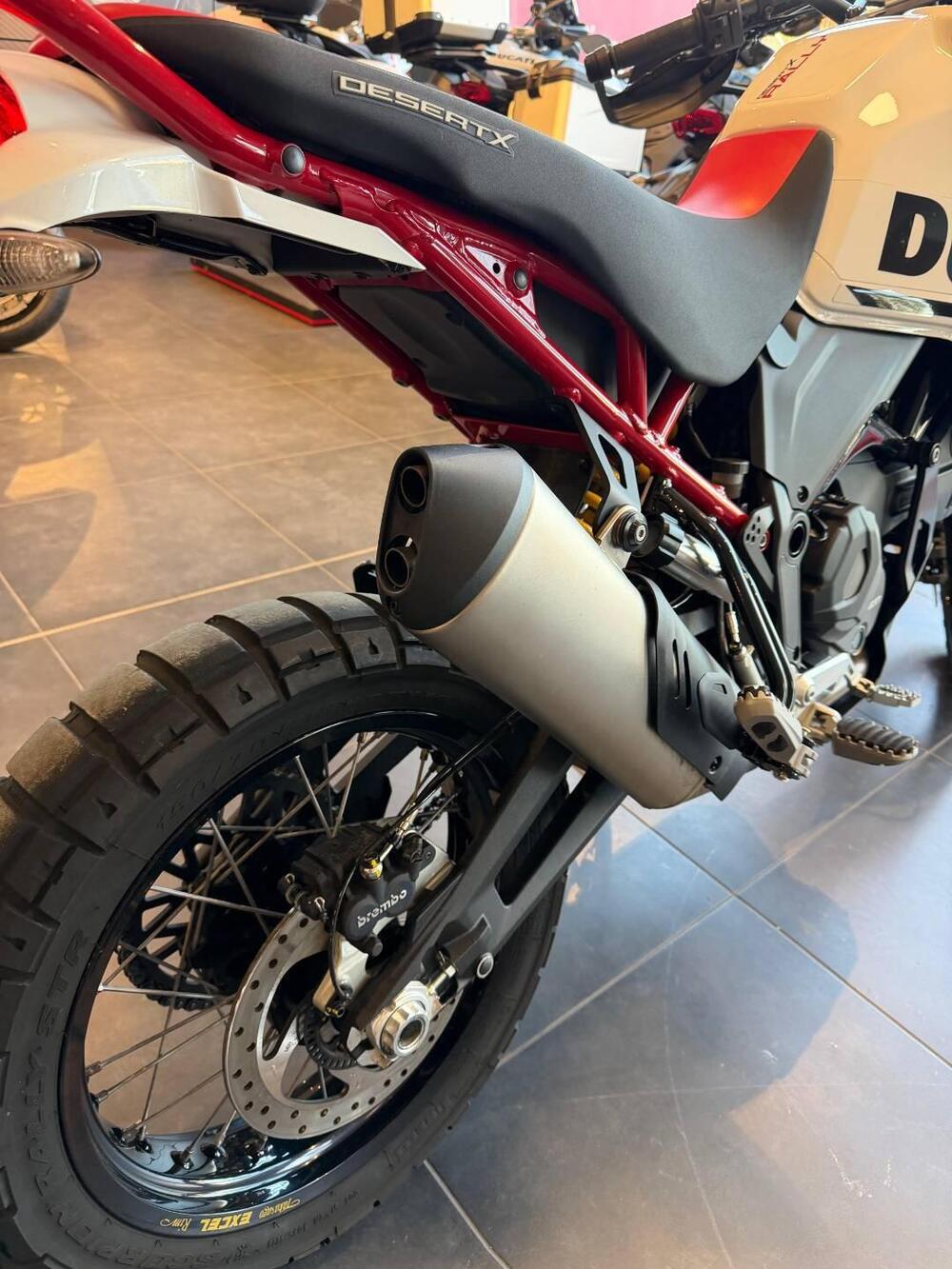 Ducati DesertX Rally (2024 - 25) (10)