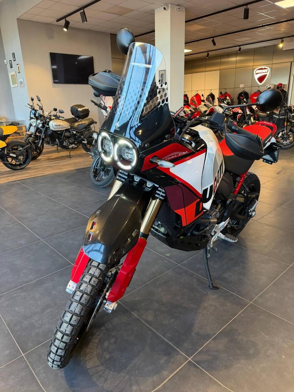 Ducati DesertX Rally (2024 - 25) (3)