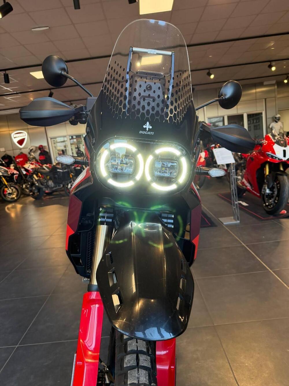 Ducati DesertX Rally (2024 - 25) (7)