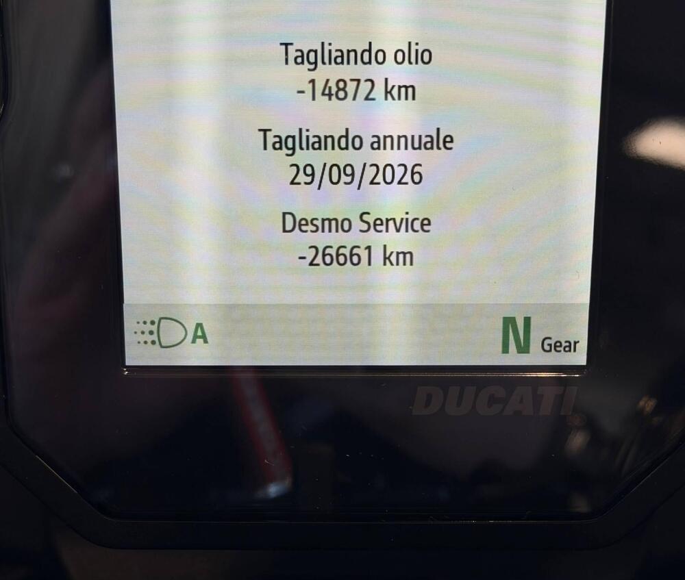 Ducati DesertX Rally (2024 - 25) (6)