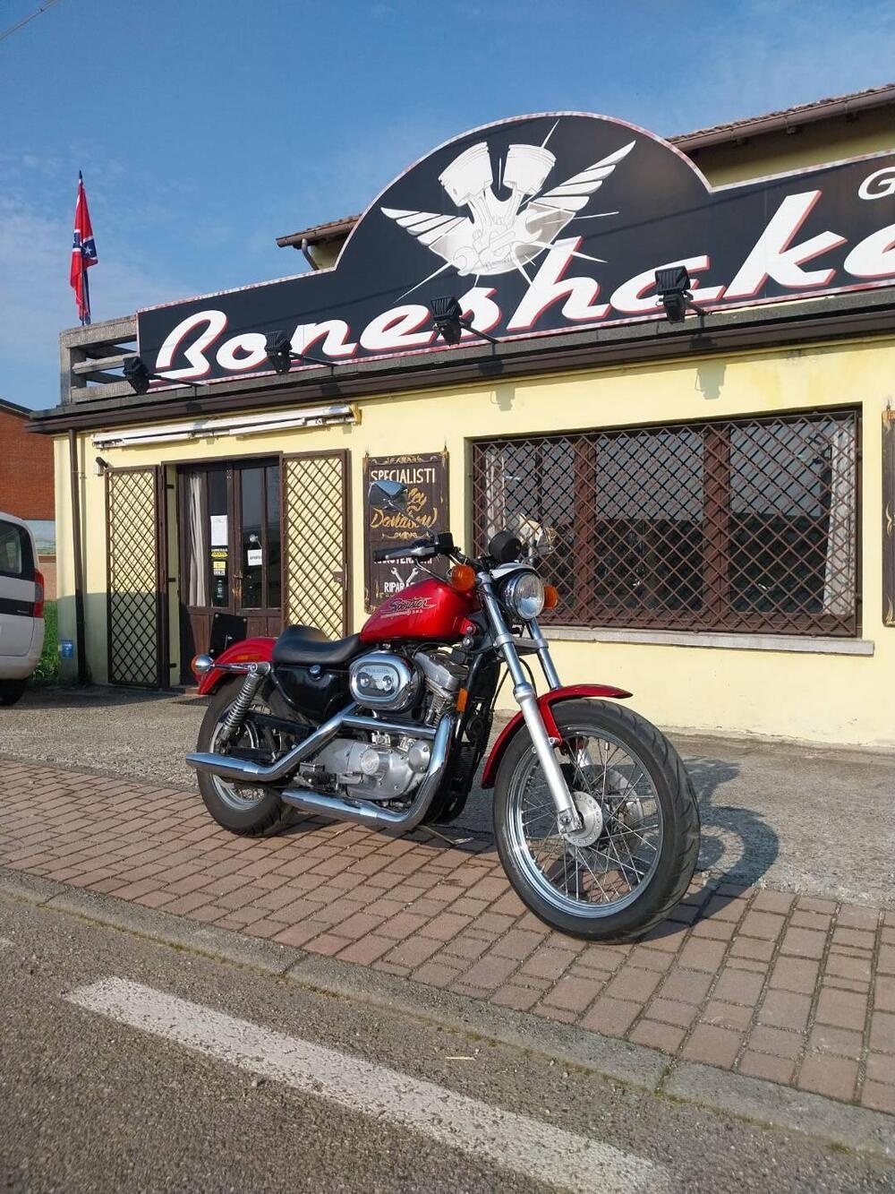 Harley-Davidson 883 Standard (1994 - 00) - XLH (4)