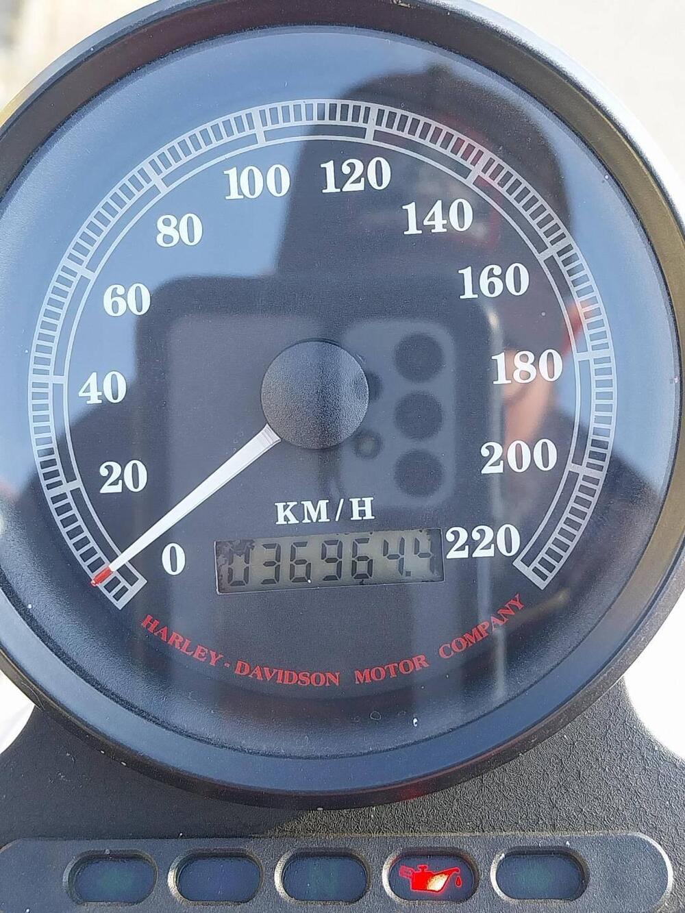 Harley-Davidson 883 Standard (1994 - 00) - XLH (7)