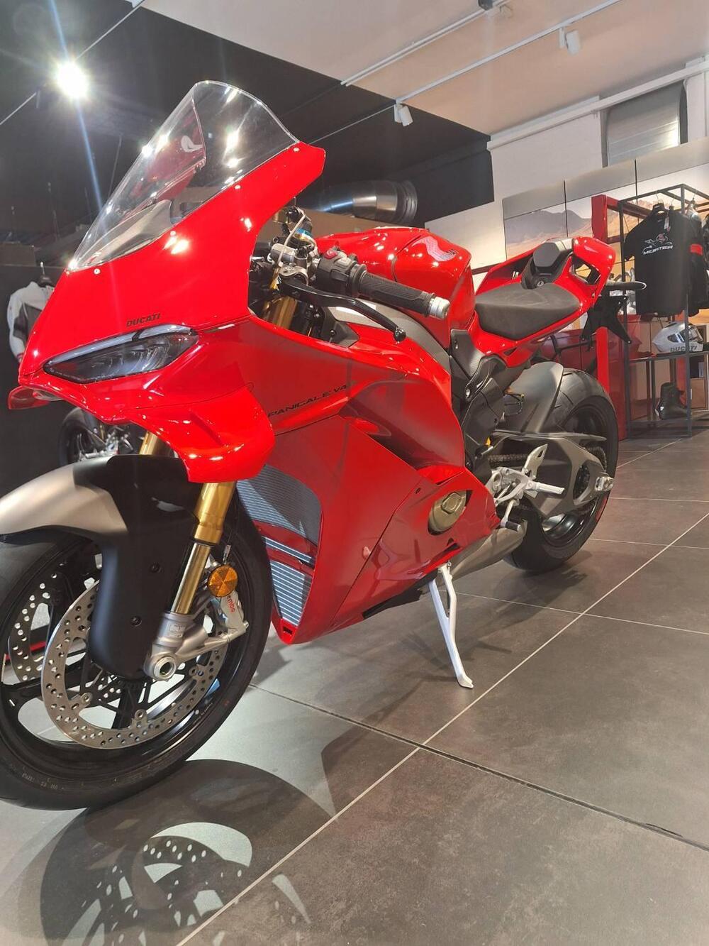 Ducati Panigale V4 S (2025 - 26) (4)