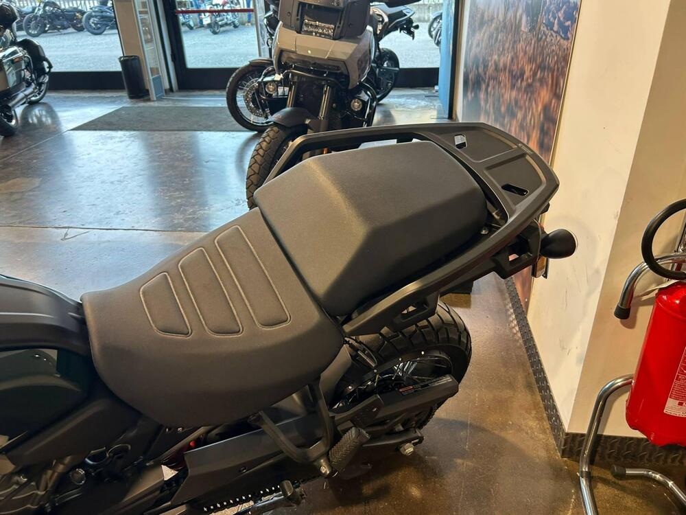 Harley-Davidson Pan America 1250 Special (2020 - 25) (5)