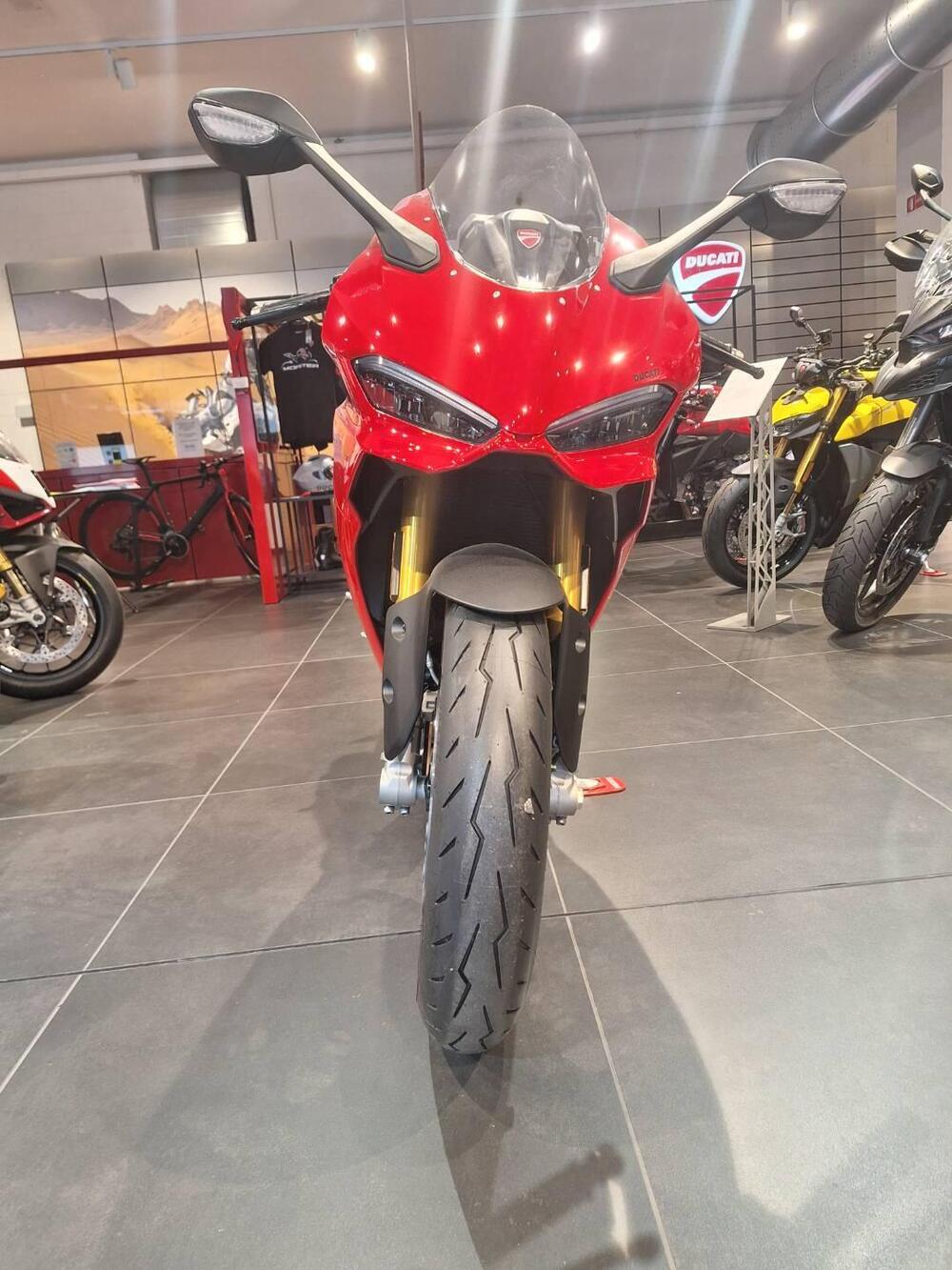 Ducati Panigale V2 S (2025 - 26) (6)