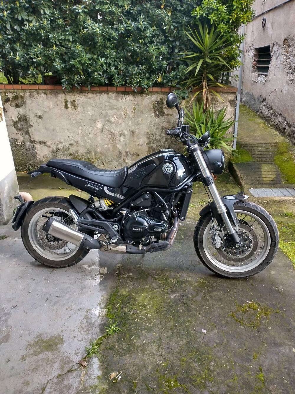 Benelli Leoncino 500 Trail (2021 - 26)