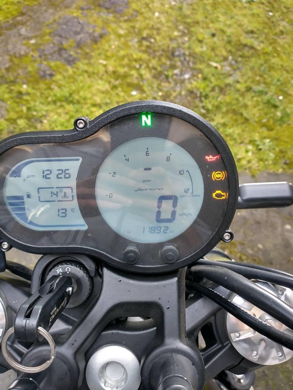 Benelli Leoncino 500 Trail (2021 - 26) (4)