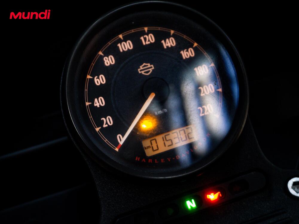 Harley-Davidson 1200 Iron (2018 - 20) - XL1200N (12)