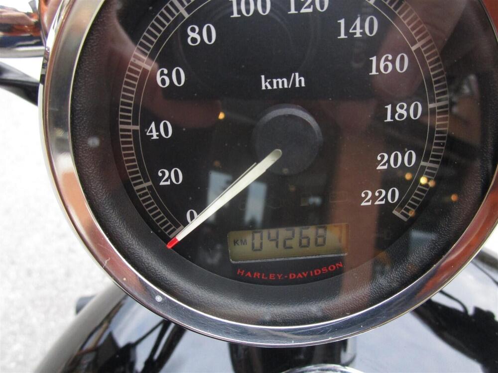 Harley-Davidson 1200 Custom (2007 - 13) - XL 1200C (9)