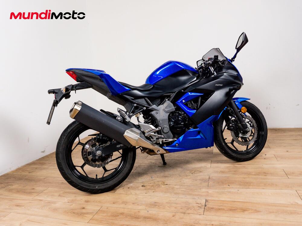 Kawasaki Ninja 300 ABS (2012 - 16) (3)