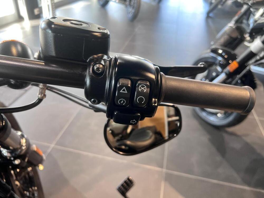 Harley-Davidson 1200 Forty-Eight (2016 - 20) (11)