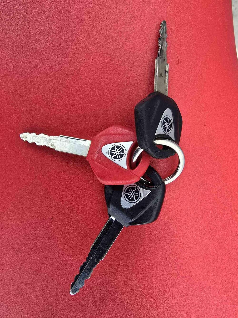 Yamaha YZF R6 (2006 - 07) (25)