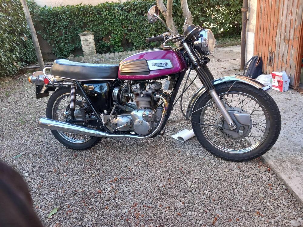 Triumph Trident (2)
