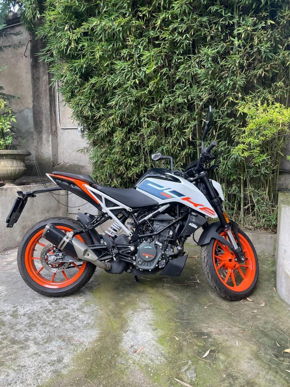 KTM 125 Duke (2024 - 25) (3)