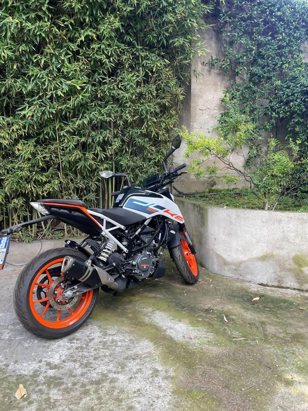 KTM 125 Duke (2024 - 25) (4)