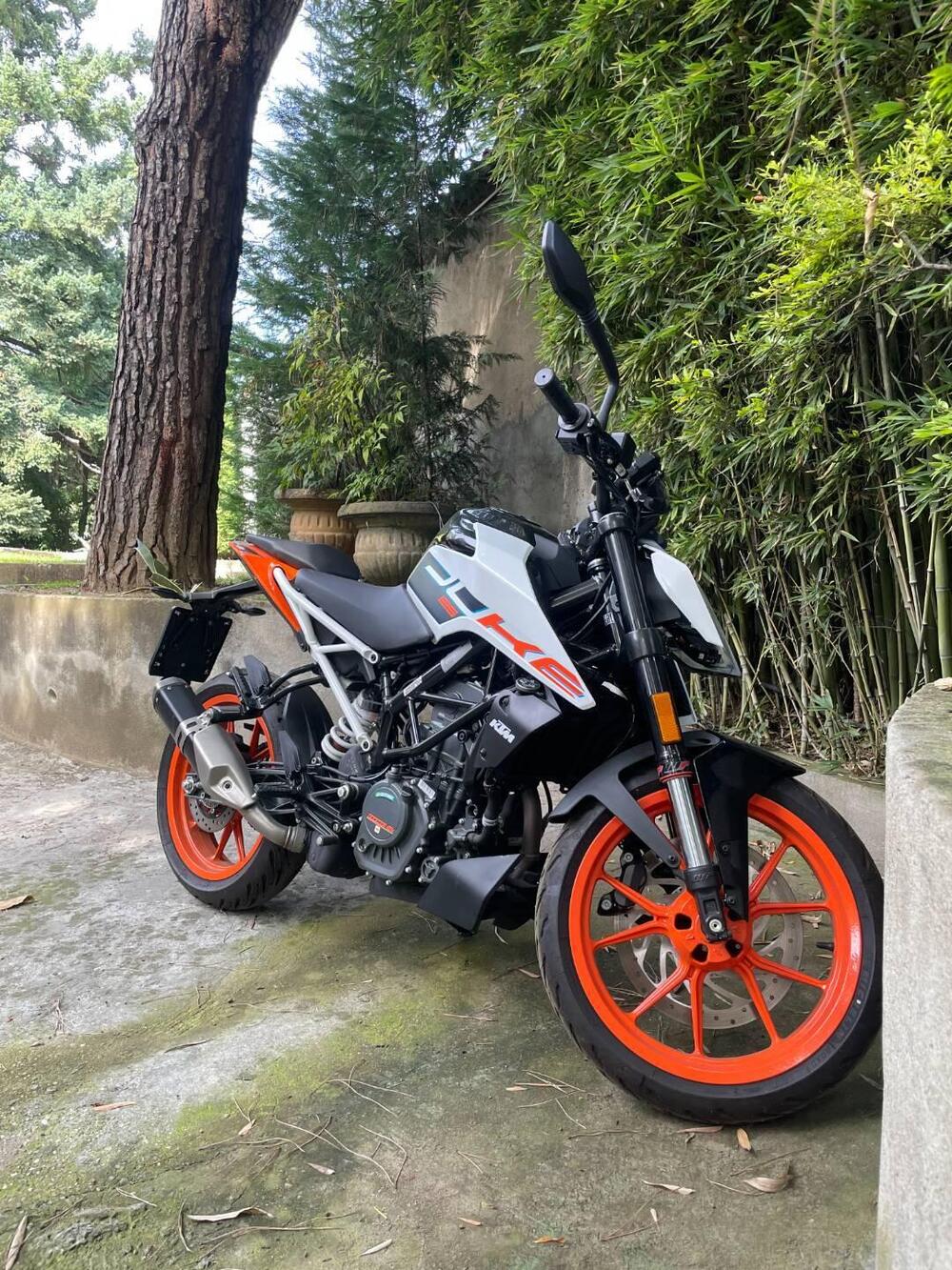 KTM 125 Duke (2024 - 25) (5)