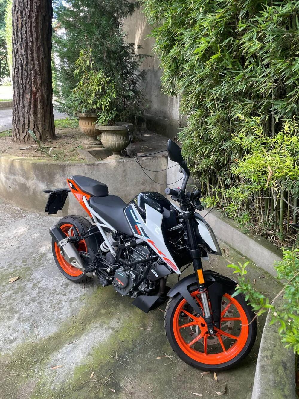 KTM 125 Duke (2024 - 25) (6)