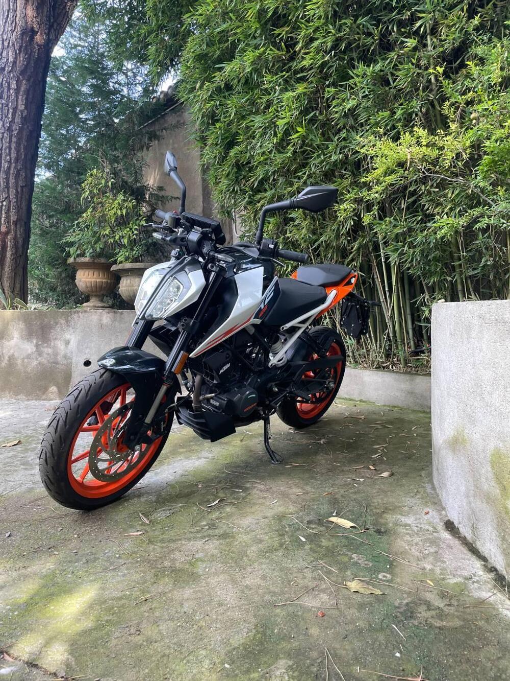 KTM 125 Duke (2024 - 25) (7)
