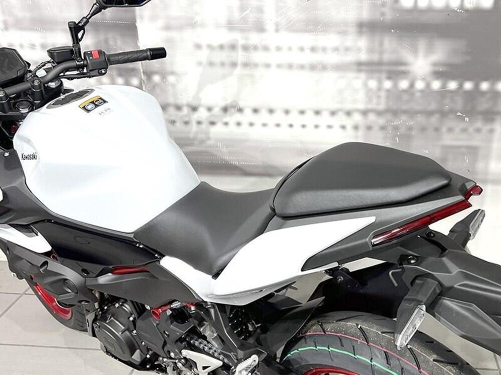 Kawasaki Z 500 SE (2024 - 26) (4)