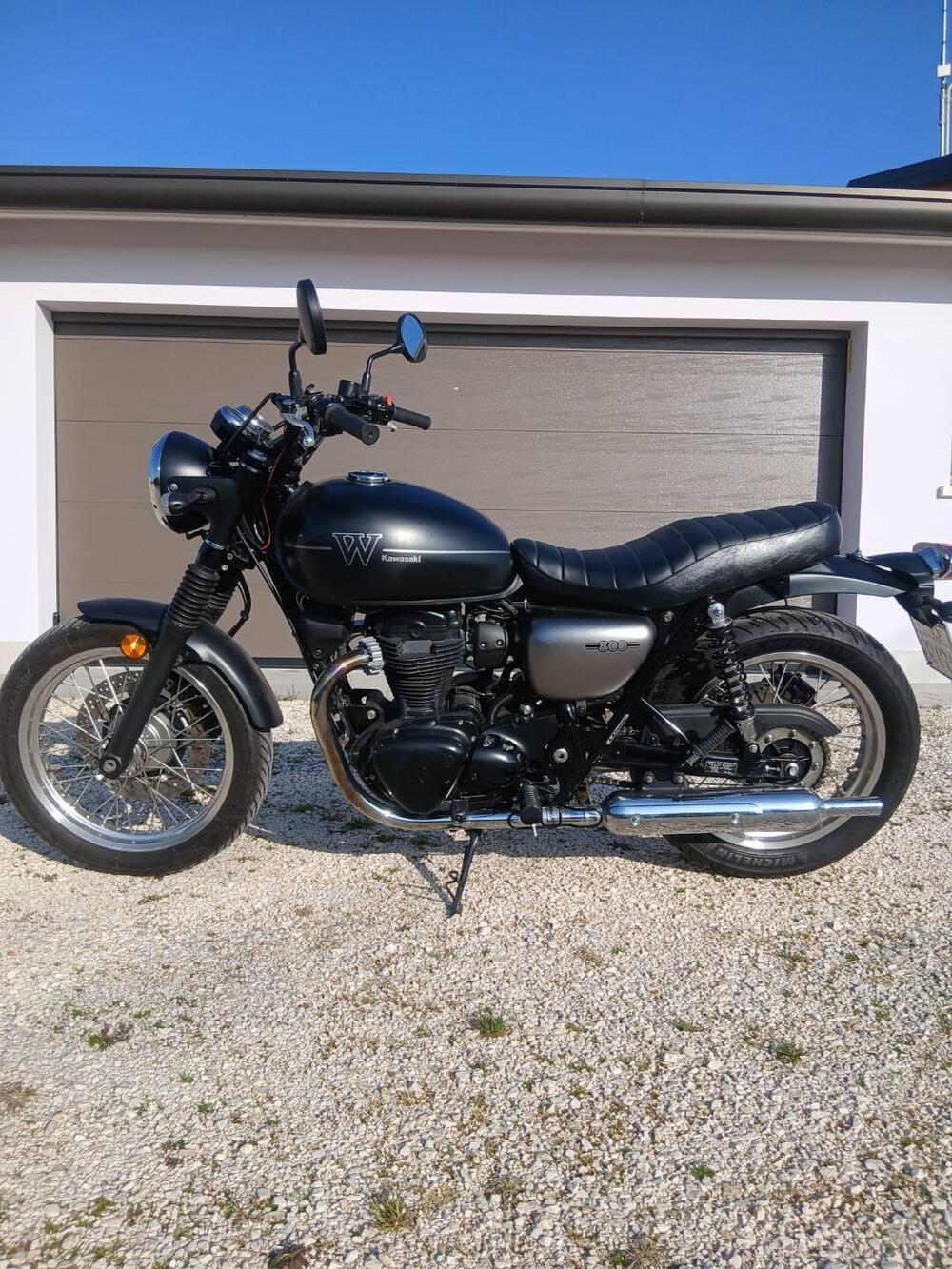 Kawasaki W 800 Street (2019 - 20) (2)