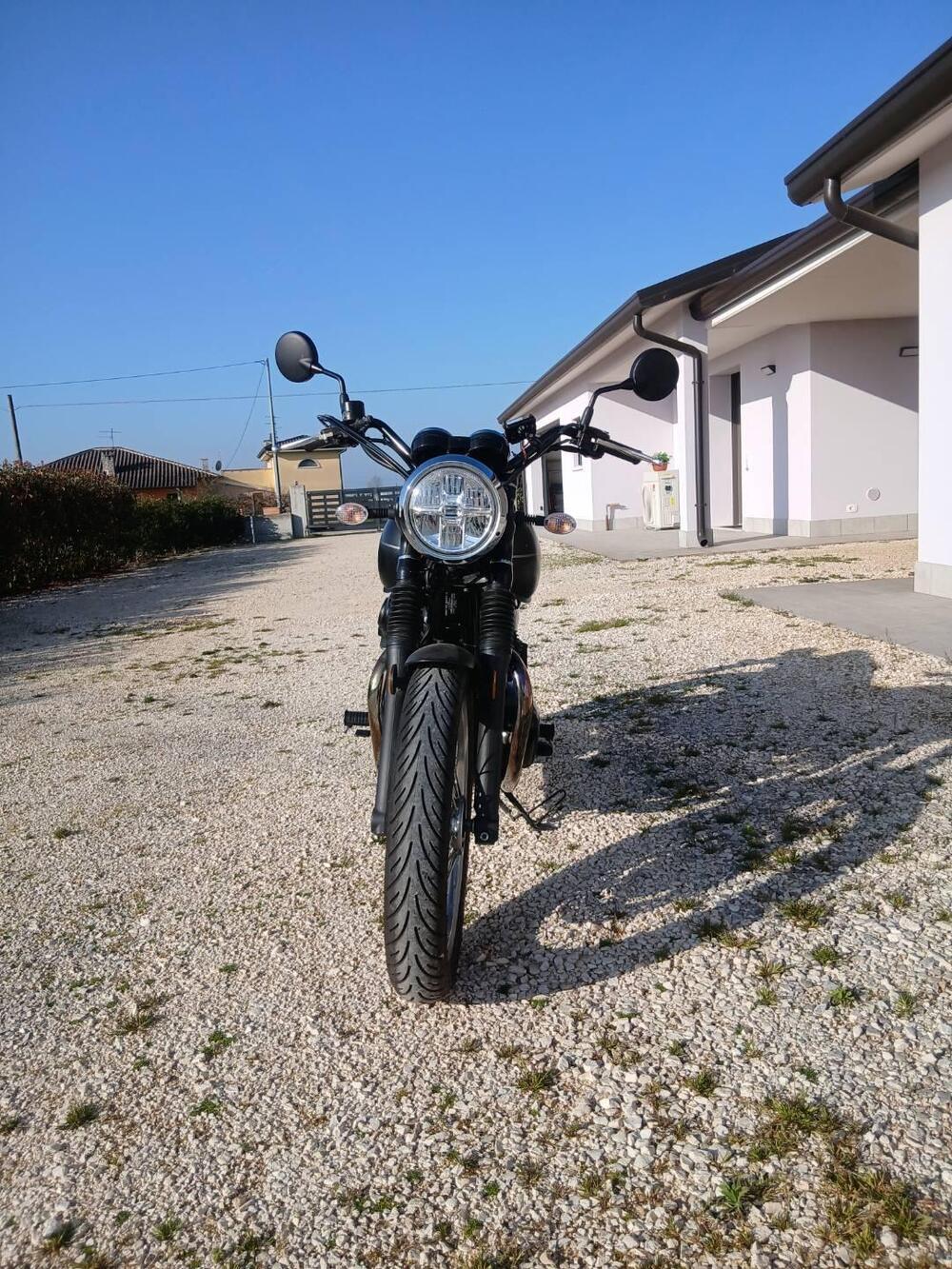 Kawasaki W 800 Street (2019 - 20) (4)