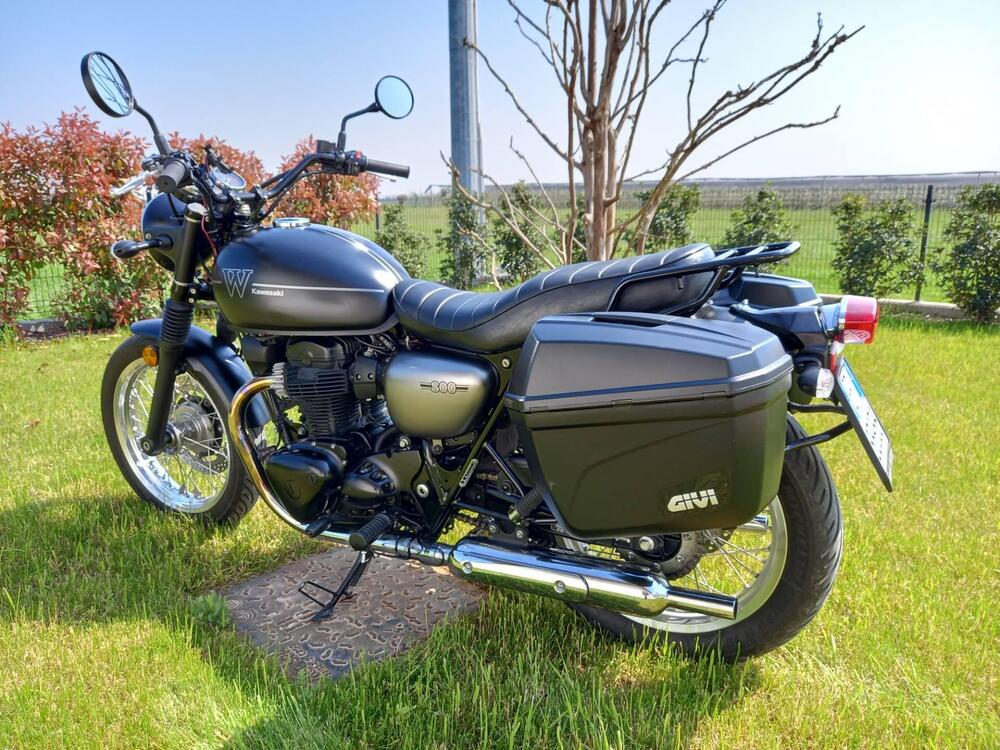 Kawasaki W 800 Street (2019 - 20) (6)