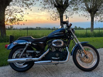 Harley-Davidson 1200 Roadster (2006 - 08) - XL 1200R usata