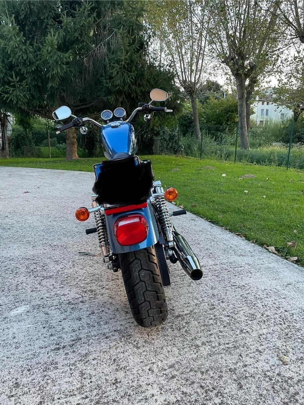 Harley-Davidson 1200 Roadster (2006 - 08) - XL 1200R (3)