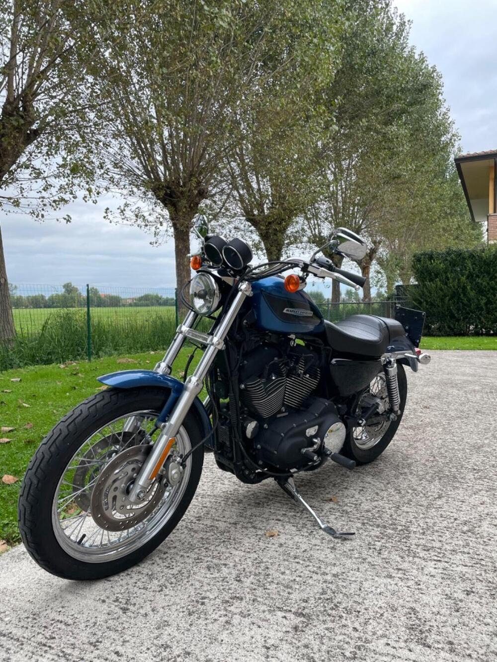 Harley-Davidson 1200 Roadster (2006 - 08) - XL 1200R (6)