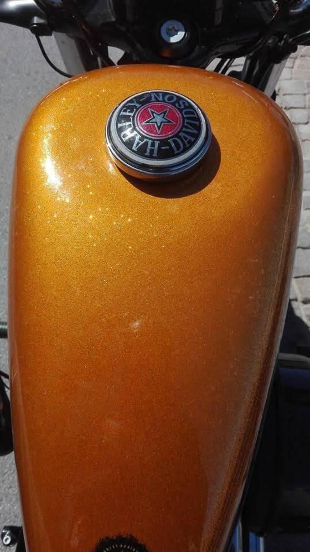 Harley-Davidson 1200 Forty-Eight (2016 - 20) (2)