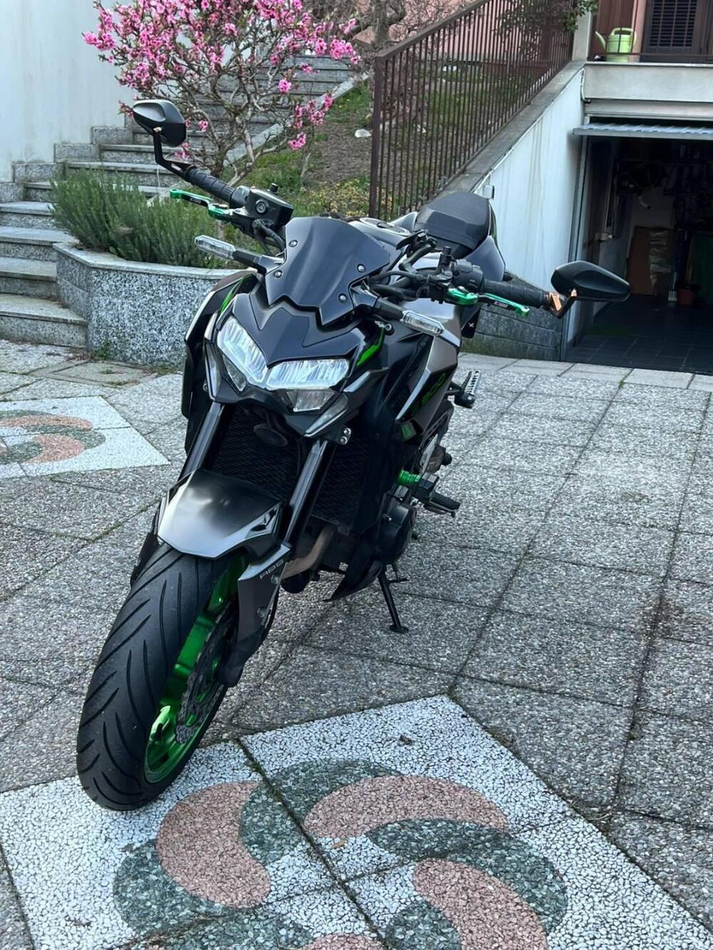 Kawasaki Z 900 A2 (2021 - 24) (5)