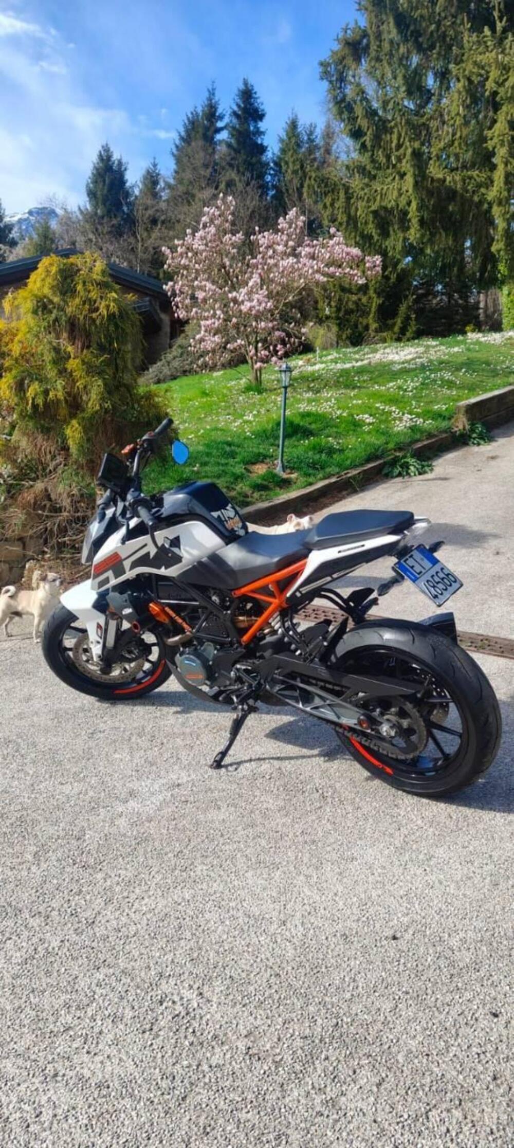 KTM 125 Duke ABS (2017 - 20) (3)