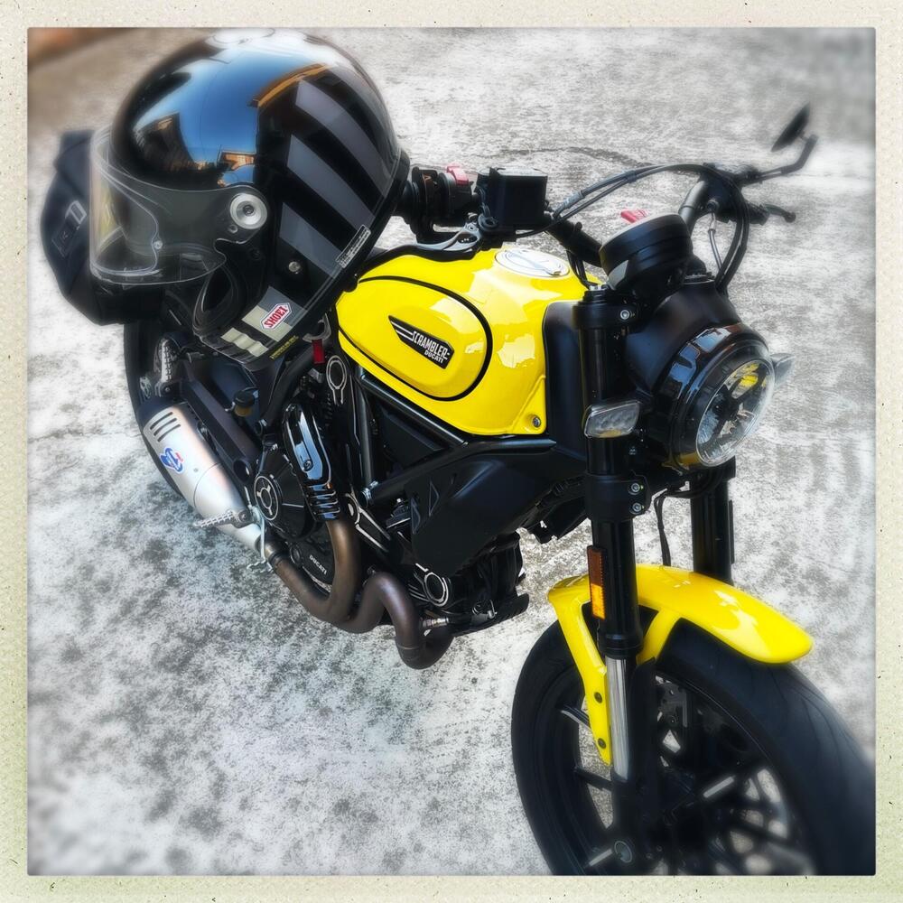 Ducati Scrambler 800 Icon (2021 - 22) (6)