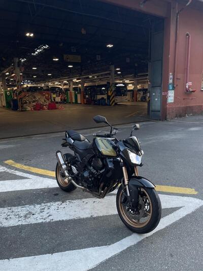 Kawasaki Z 750 R (2011 - 14) usata