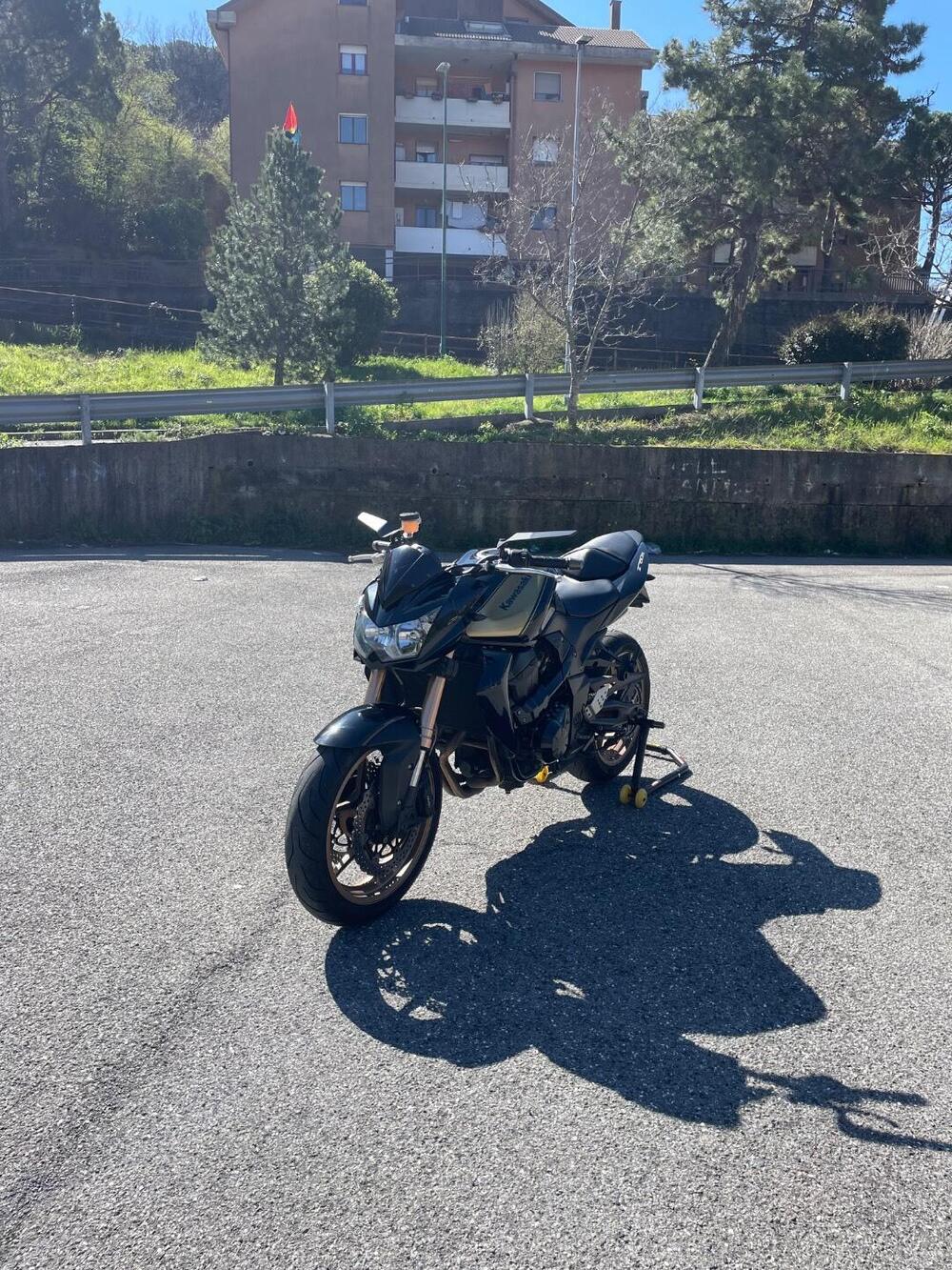 Kawasaki Z 750 R (2011 - 14) (2)