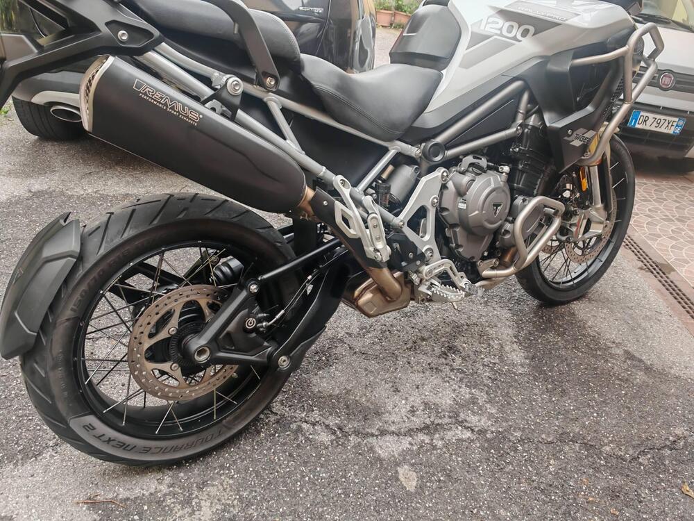 Triumph Tiger 1200 Rally Pro (2024 - 26) (3)