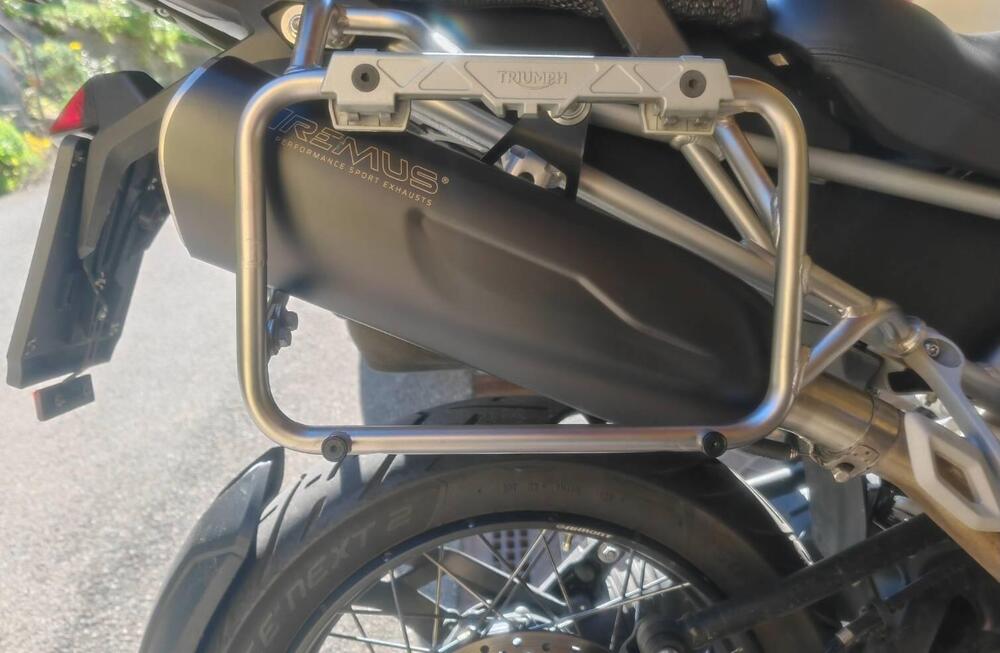 Triumph Tiger 1200 Rally Pro (2024 - 26) (5)