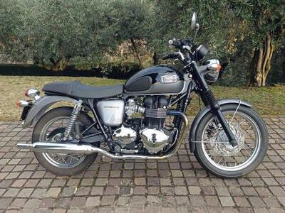 Triumph Bonneville T100 (2008 - 16) usata