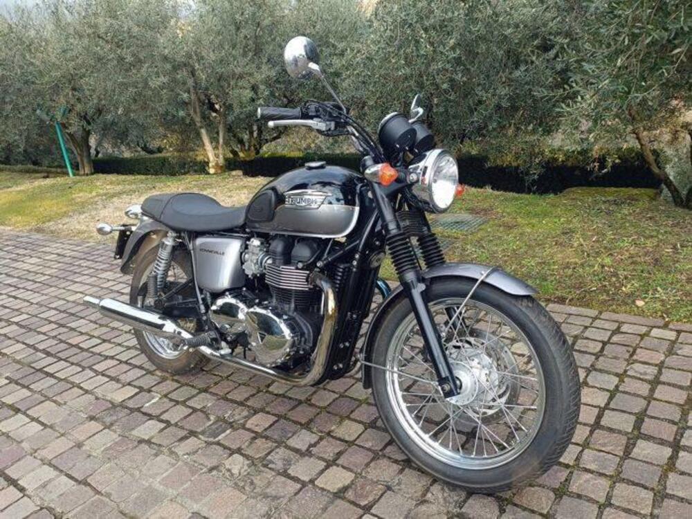 Triumph Bonneville T100 (2008 - 16) (2)