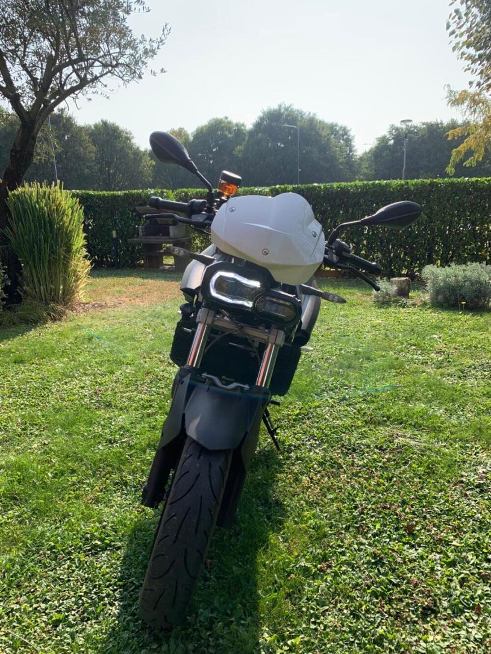 Bmw F 800 R (2009 - 11) (2)